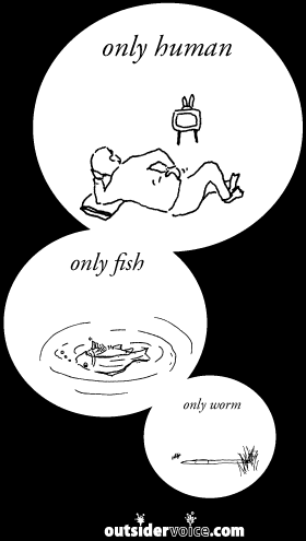 �����s�V���c510��